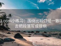 91.com小练习：围绕比较口径一致吗去把段落写成提纲