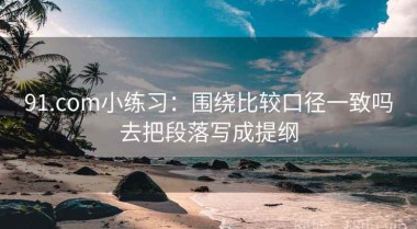 91.com小练习：围绕比较口径一致吗去把段落写成提纲