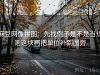 麻豆网像拼图：先找例子是不是当规则这块再把单位补到图旁